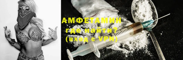 хмурый Аркадак
