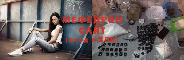 хмурый Аркадак