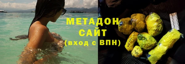 хмурый Аркадак