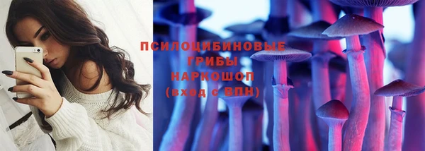 хмурый Аркадак
