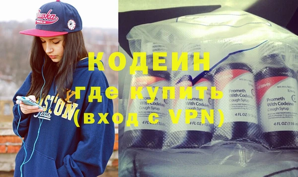 хмурый Аркадак