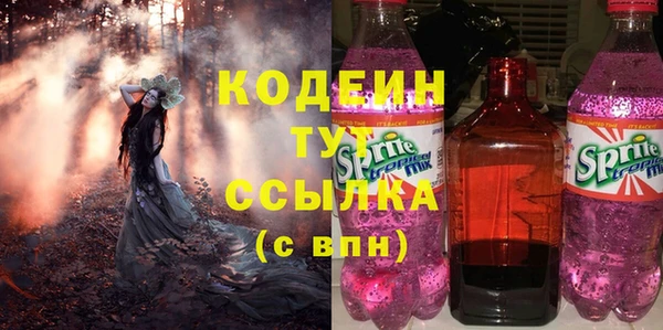 хмурый Аркадак