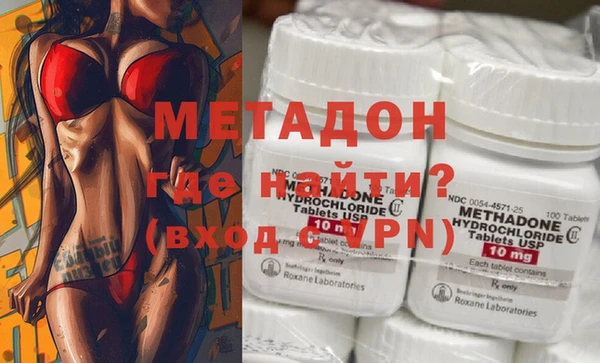 хмурый Аркадак