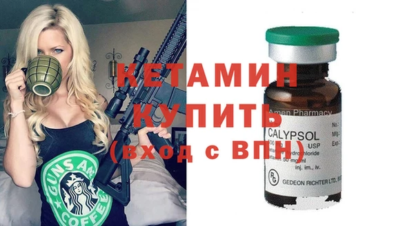 хмурый Аркадак