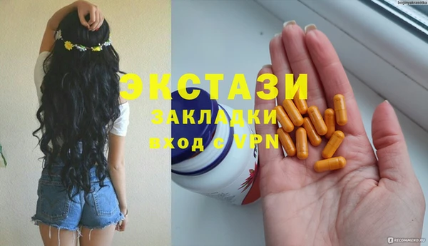 хмурый Аркадак