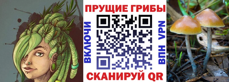 сайты даркнета Telegram  Чайковский  Псилоцибиновые грибы MAGIC MUSHROOMS 
